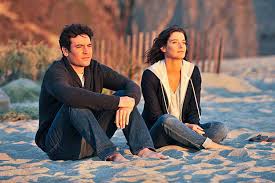 Cobie Smulders' 'Inappropriate' Whispers to Josh Radnor on HIMYM