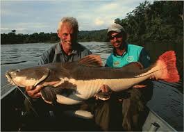 Về MIỀN TÂY ăn cá LINH nhé Ae ... Mời Ae thưởng thức ... ! - 1