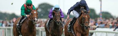 JRA-VAN World - News update