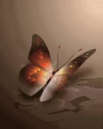 Image result for animated butterflies wallpaper