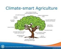 Image of Climatesmart agriculture