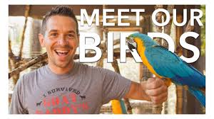 Related video thumbnail