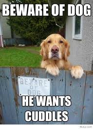 Image result for Animal Meme