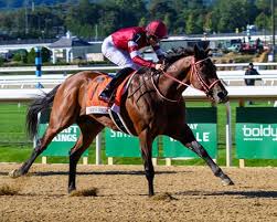 Forever Young Too Much for Foes in Jockey Club Gold Cup