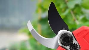 News source: Ouest-France