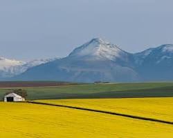 Hình ảnh về Overberg landscape in winter