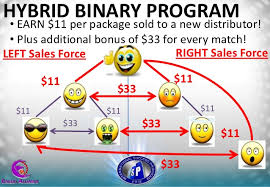 Image result for AIm Global Products