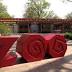 Fort Wayne zoo plans monkey, otter exhibit overhauls