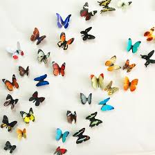 Image result for animated butterflies wallpaper