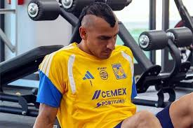 Tigres no descansa y entrena en el CET