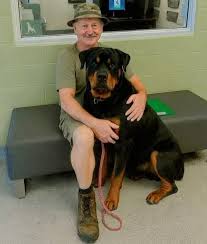 A Bond Forged in Silence: The Story of a Rottweiler’s Redemption – New ...