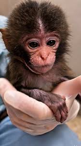 Huynh Minh Hieu - Huynh Minh Hieu added a new photo.