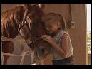 Cheval de guerre - Film et bande-annonce - MYTF 1News