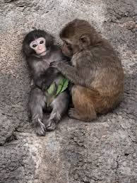 What starts as playful moments… turns into the purest bond ...