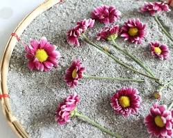 Kumda kurutulmuş &ccedil;i&ccedil;ekler resmi