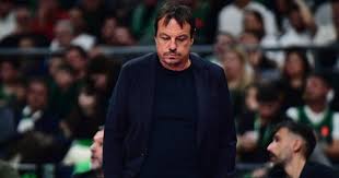 Trend Google: euroleague