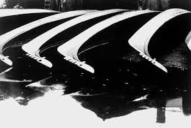 Resultado de imagem para FOTOS DE FULVIO ROITER