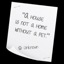 Pet Quotes. QuotesGram via Relatably.com
