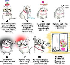 Image result for pain scale