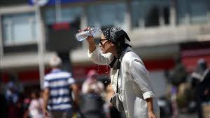 Anadolu Ajansı - News update