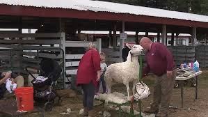 fryeburg fair