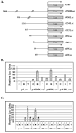 Butyrate response element