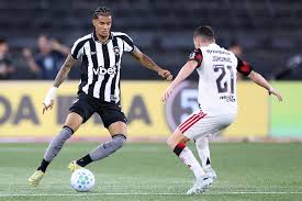 Com lesão no ombro, Newton só deve voltar a jogar em abril pelo Botafogo