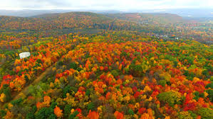 Seasonal temperatures are coming to Binghamton. Here's this weekend's 
weather forecast