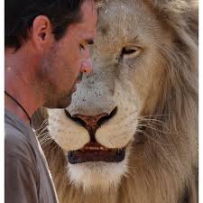 Kevin Richardson | Kevin Richardson | Pinterest via Relatably.com