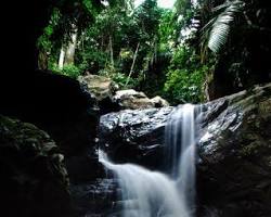 Gambar Taman Hutan Raya Wan Abdul Rachman Lampung