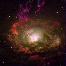 Image result for circinus galaxy