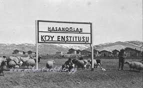 gölköy köy enstitüsü'nün ilk mezunları ile ilgili görsel sonucu