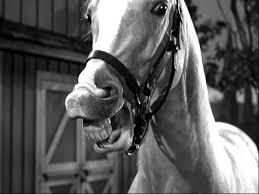 Resultado de imagen para mr ed caballo