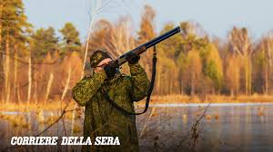 Trend Google: ddl caccia