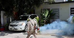 Mexico in the Grip of Dengue: Over 18,000 Cases Recorded in 2024 - 1