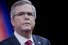 Image result for jeb bush