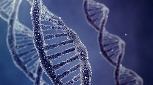 Image result for dna