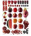 Red Foods: The New Health Powerhouses? - WebMD