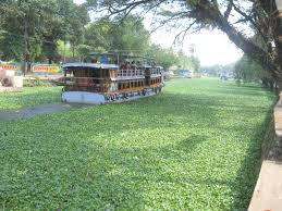 Image result for alleppey backwaters kerala