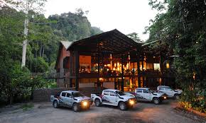 Image result for danum valley borneo