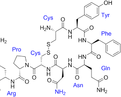 Image of Vasopressin molecule