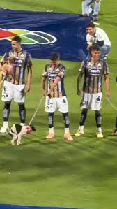 el perrito fue top, el resto muy triste :( #futbol ...