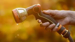 First hosepipe ban since 1976 in Wessex Water area — BBC