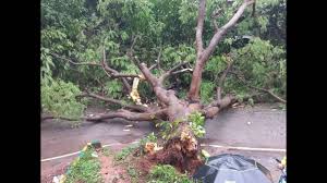 Times of India - News update