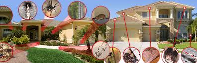 Image result for pest control services