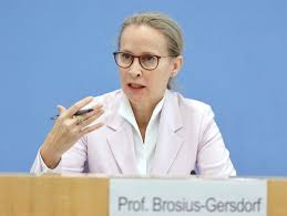 frauke brosius-gersdorf