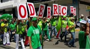 Resultado de imagen para fotos de marcha verde