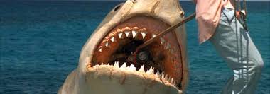 Живой Журнал Жульена