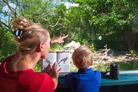 Image result for Bird watchers