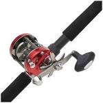 Ambassador rod and reel combo